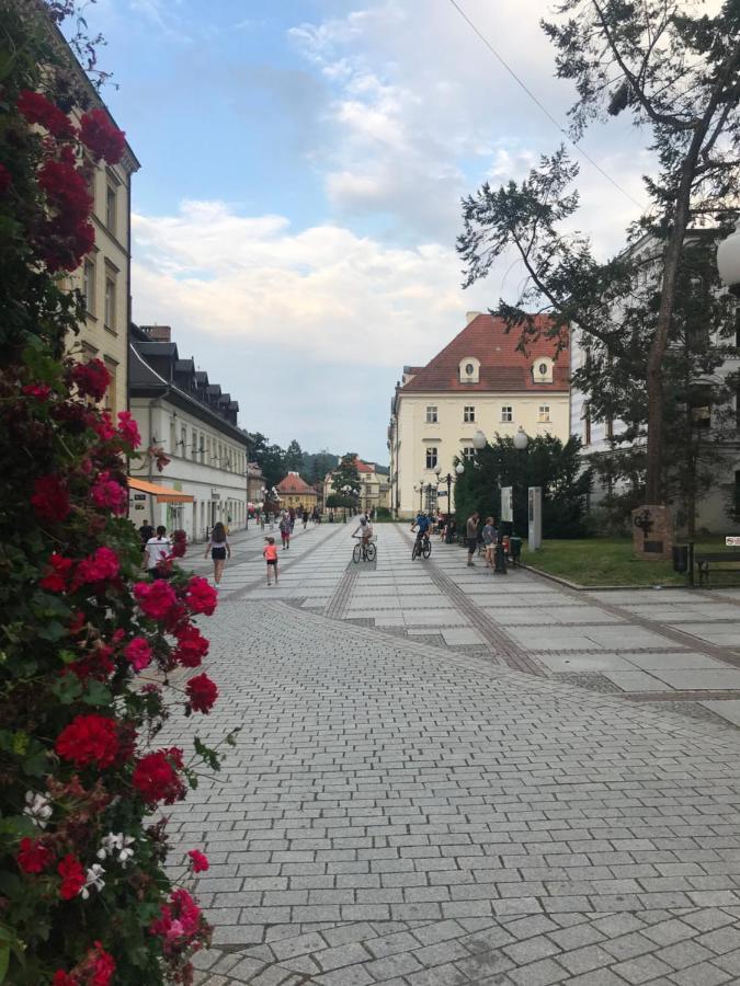 Apartament C18 Jelenia Góra Екстериор снимка